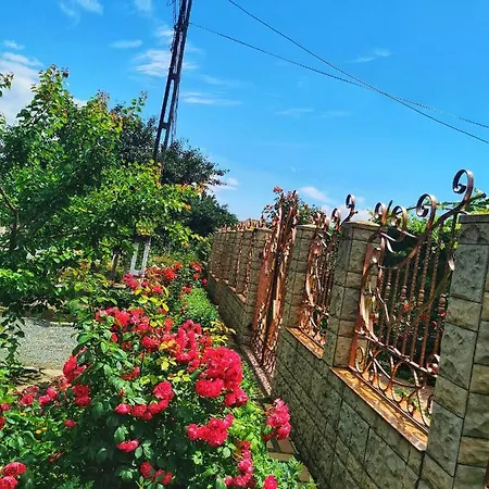 Casa Madalina Πανσιόν Jurilovca