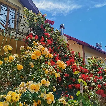 Casa Madalina *