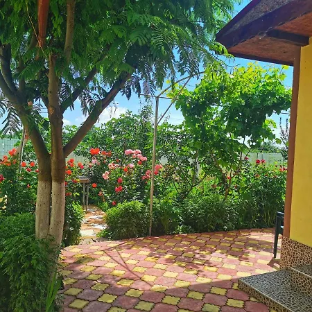 Casa Madalina Πανσιόν *