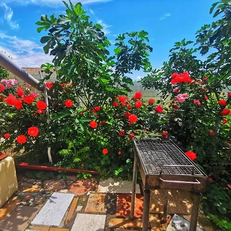 Casa Madalina Πανσιόν Jurilovca