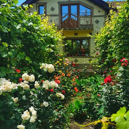 Πανσιόν Casa Madalina *