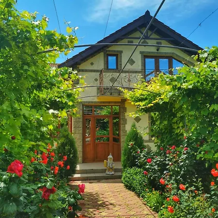 Casa Madalina Πανσιόν Jurilovca